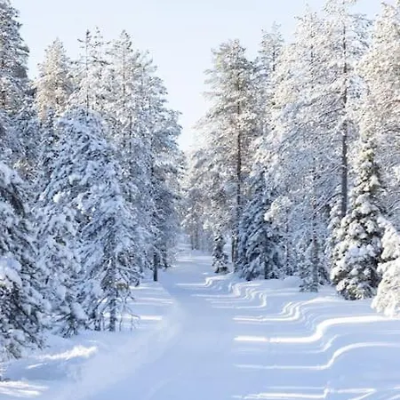 Arctic Circle Home Close To Santa'S Village Rovaniemi Exterior photo