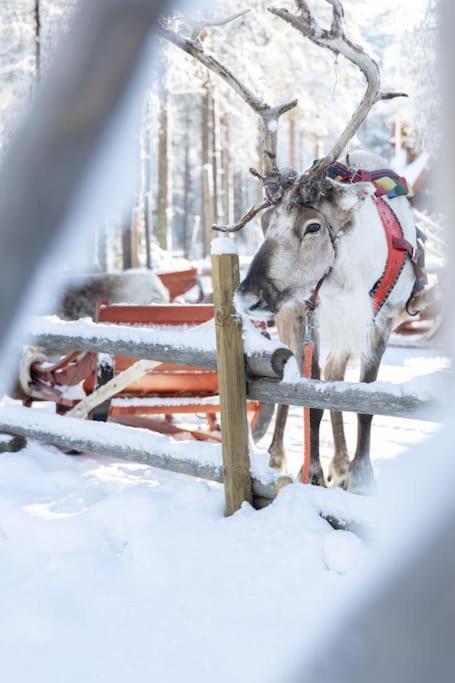 Arctic Circle Close To Santa's Village Holiday home *