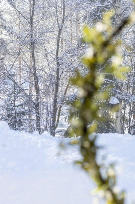 Arctic Circle Close To Santa's Village Rovaniemi