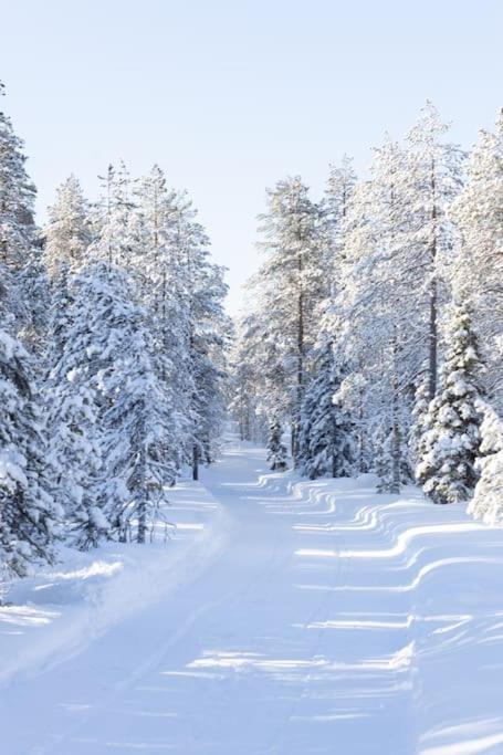 Arctic Circle Close To Santa's Village Rovaniemi