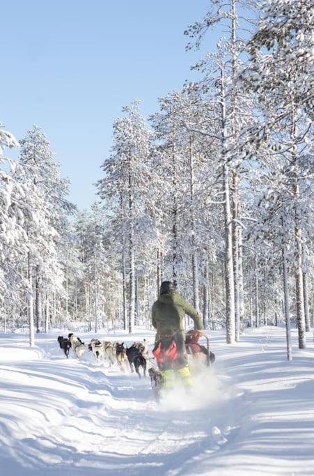 Arctic Circle Close To Santa's Village Holiday home