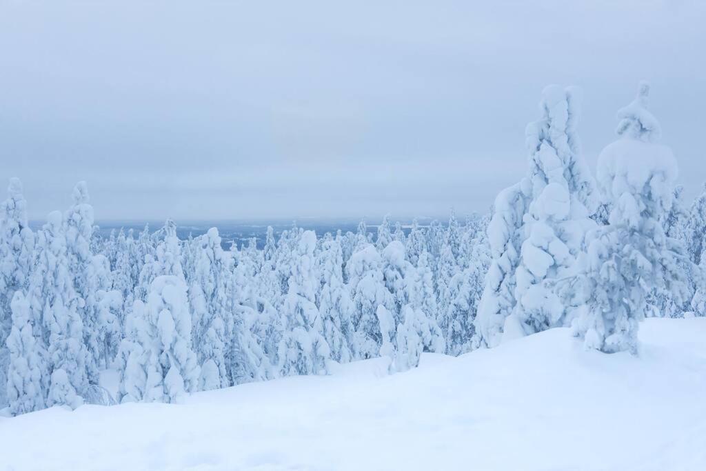 Holiday home Arctic Circle Close To Santa's Village Rovaniemi