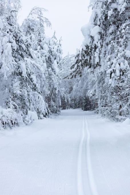 Arctic Circle Close To Santa's Village Holiday home *